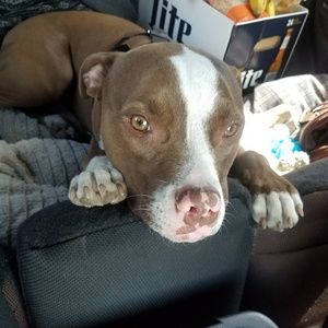 Meet your Posher, Deb